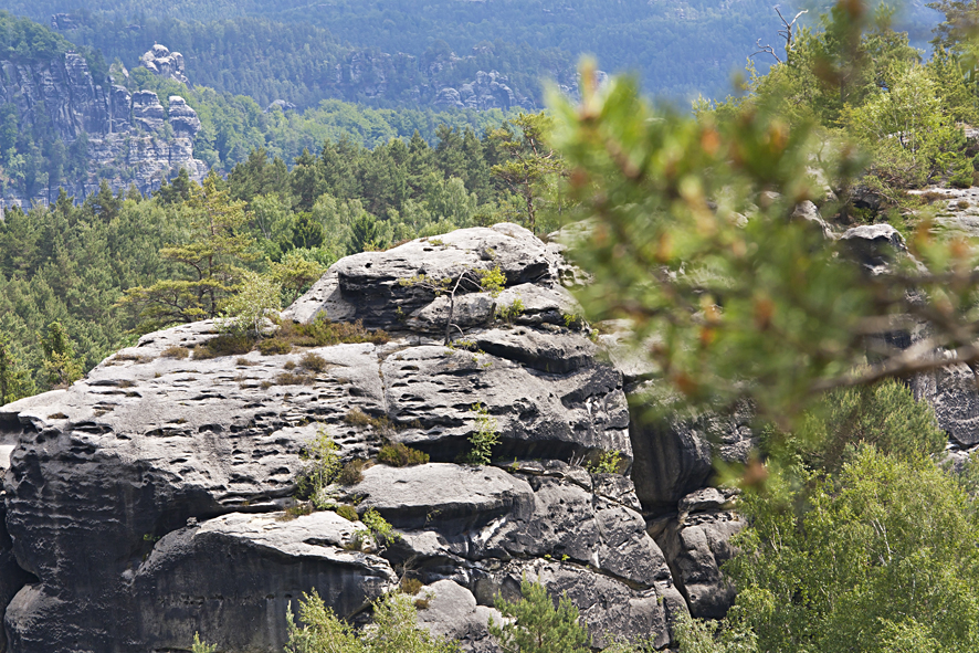Climbing rock in the Elbe Sandstone Mountains.